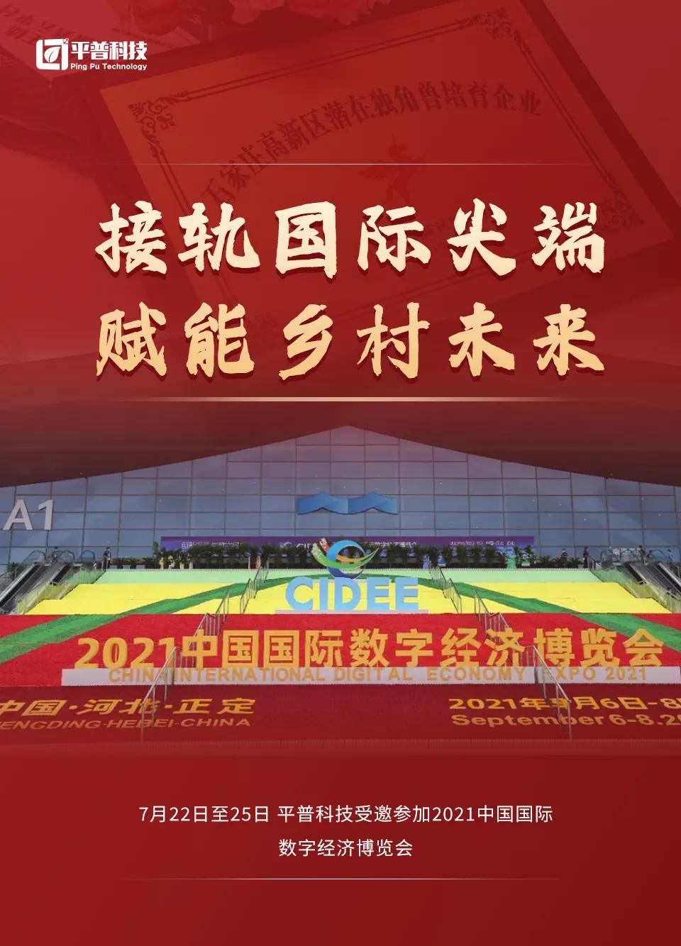 平纪最新动态深度解析与观点阐述