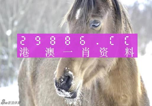 澳门一肖一码100准免费,比较评价_白银版66.663