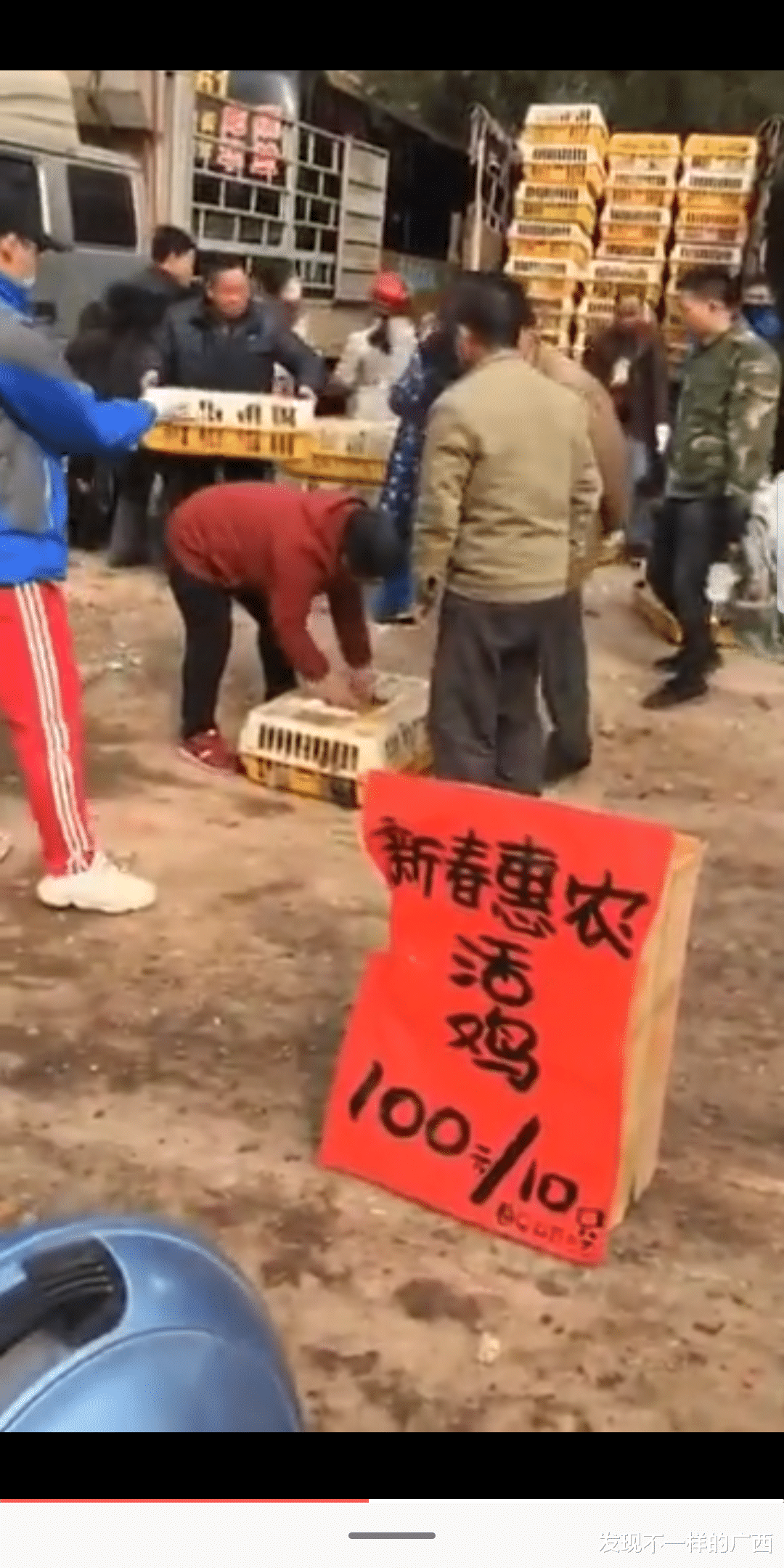 广西鸡鸭最新价格行情报告，新鲜禽肉价格一览