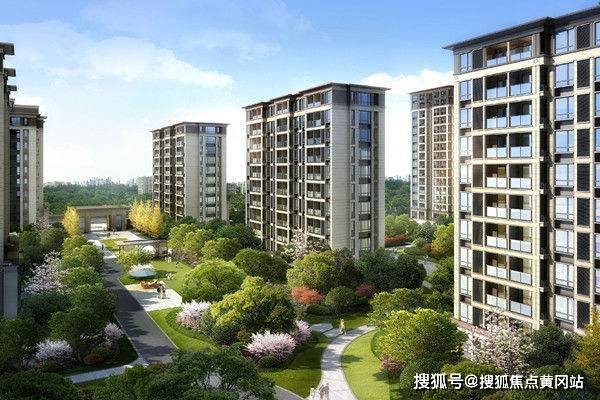 最新东方心经，探索变化的力量与自信的魔法之道
