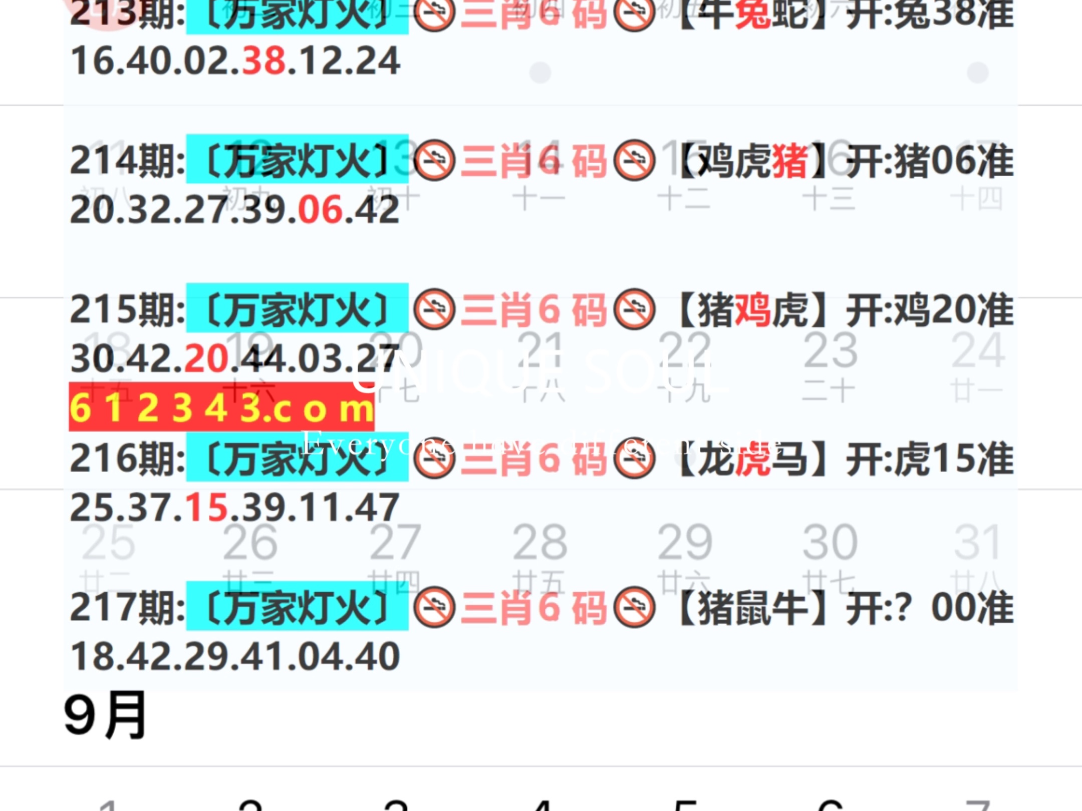 2024年新奥门天天开彩,科学分析严谨解释_携带版63.589