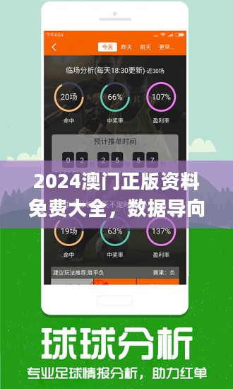 2024新澳门正版免费资料,数据驱动决策_沉浸版96.240