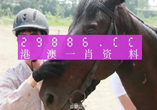 澳门精准一肖一码一一中,现况评判解释说法_强劲版59.751