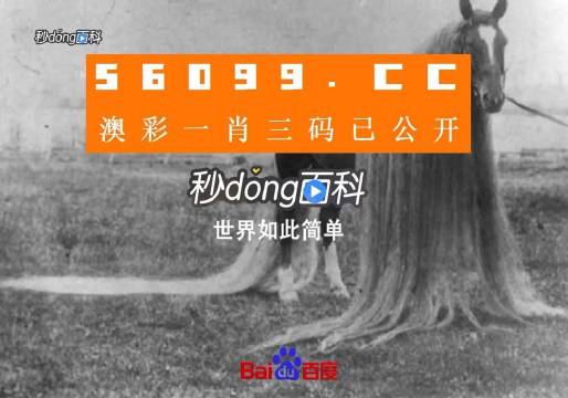 澳门必中一一肖一码服务内容,信息明晰解析导向_触控版49.625