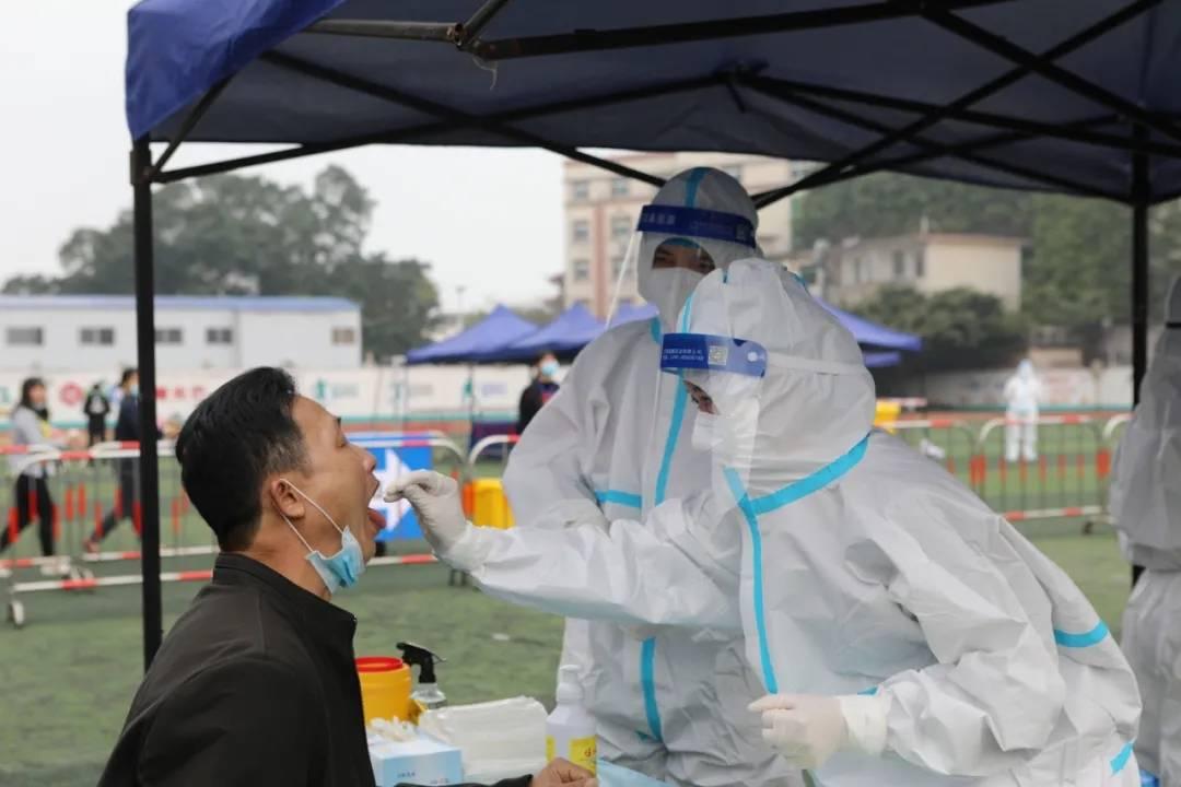 全球最新肺炎疫情数据汇总与步骤指南
