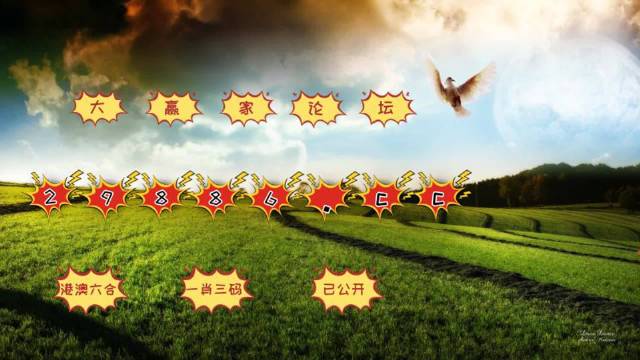 2024年澳门开奖记录,资料精准解析_清新版63.855