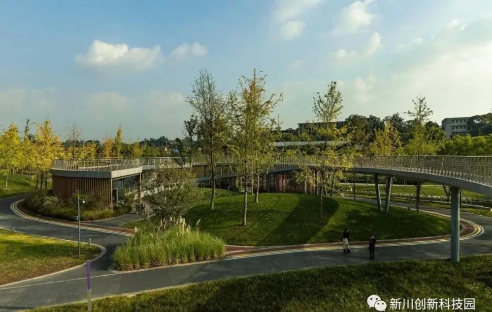成都最新建公园揭秘，城市绿肺新篇章