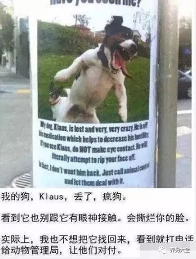 寻猫启事厦门最新,寻猫启事厦门最新🔍🐱爱心接力，猫咪回家之路