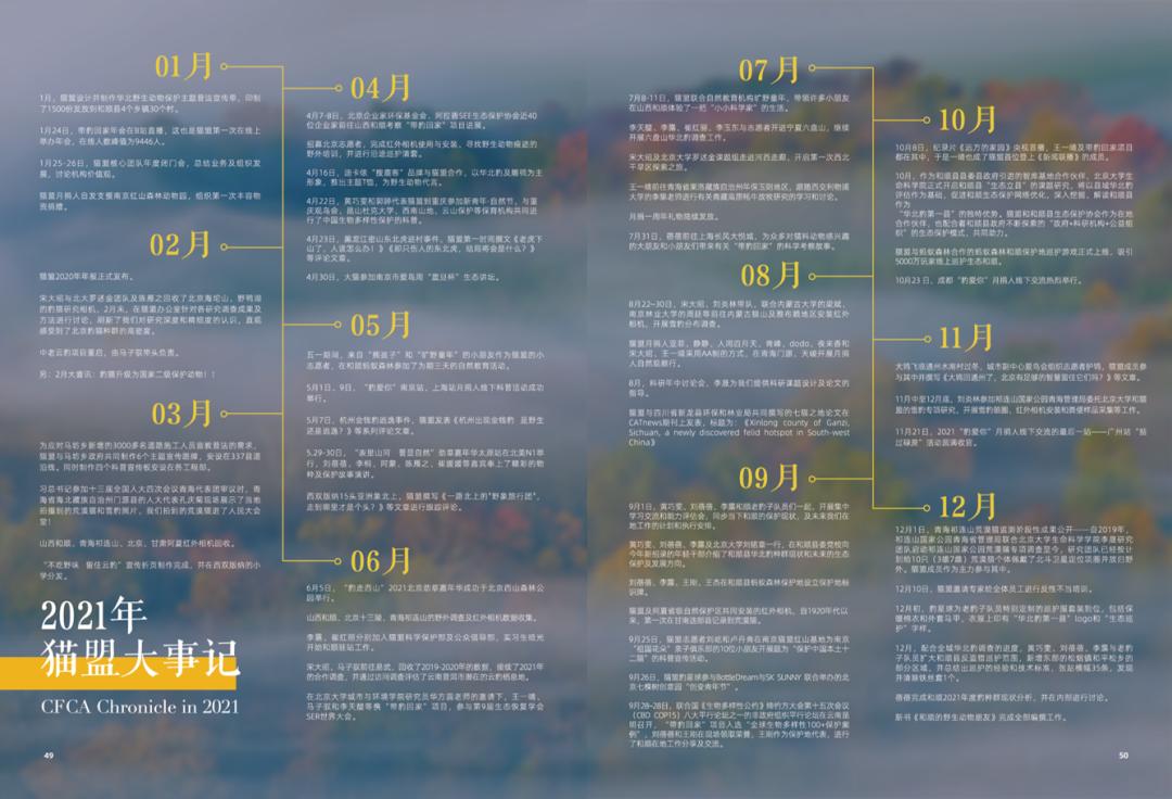 园林绿化 第286页