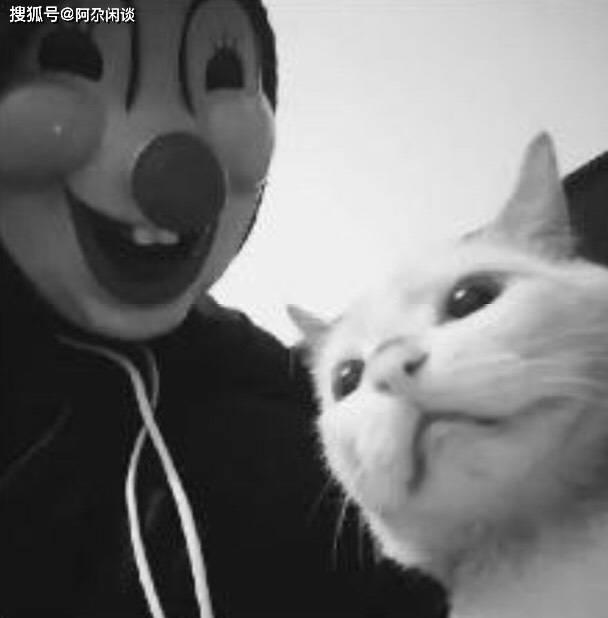 范源庆新作，学习之旅的蜕变与自信成就感的交融