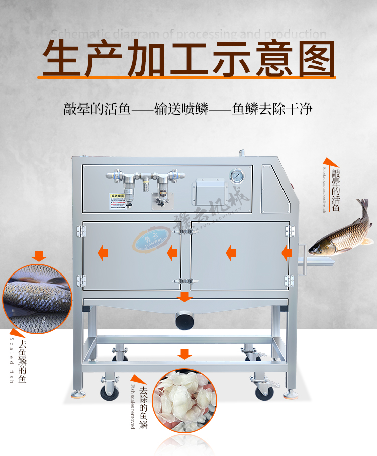 最新鱼鳞设备,最新鱼鳞设备，学习与变化的魔法，自信与成就感的源泉