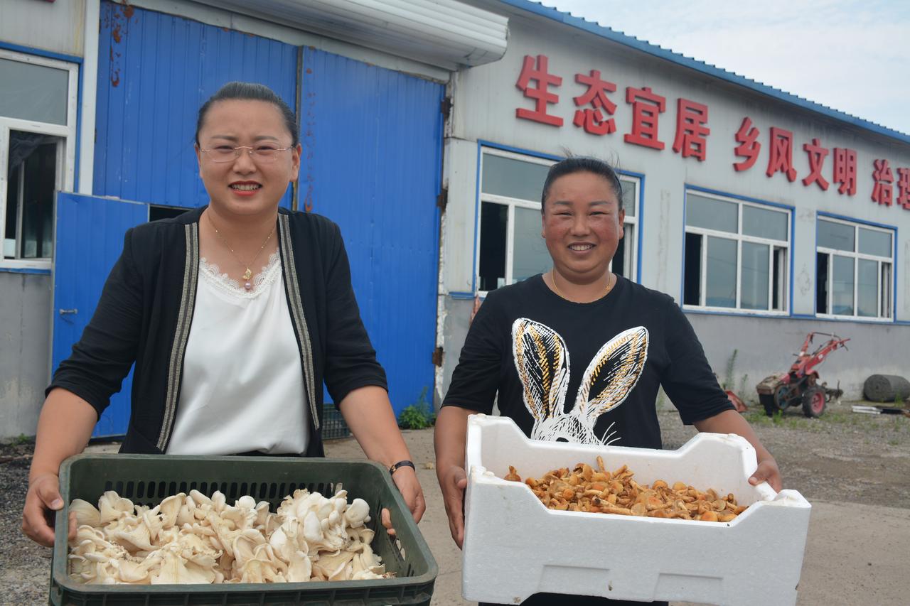 克东最新资讯动态