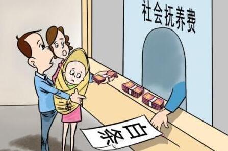 河南2025年社会抚养费新政策详解及论述