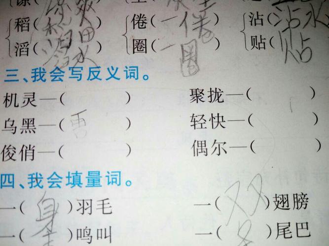 词汇竞赛的历程、影响与地位，比赛近义词的探索与启示