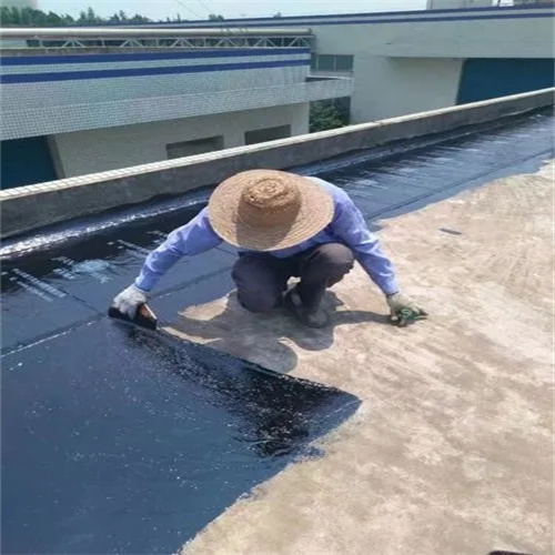 渗水比赛实验，探索渗透力的竞赛之旅