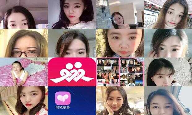 园林绿化 第129页