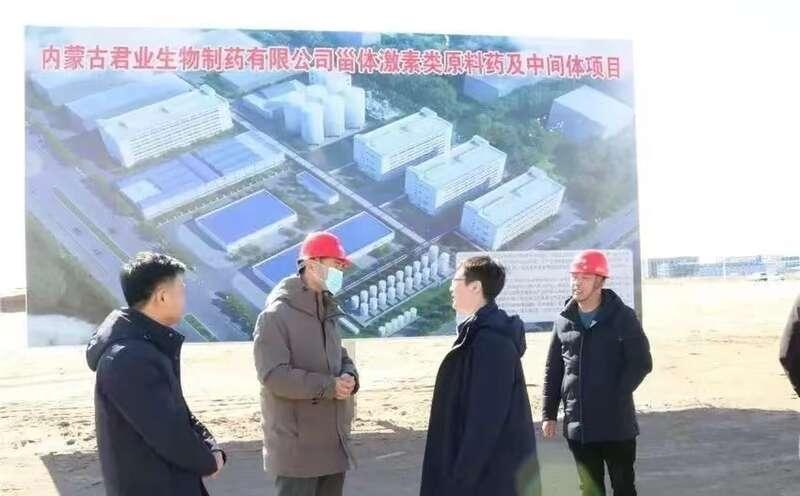 开鲁最新招工信息汇总，最新招聘信息全解析