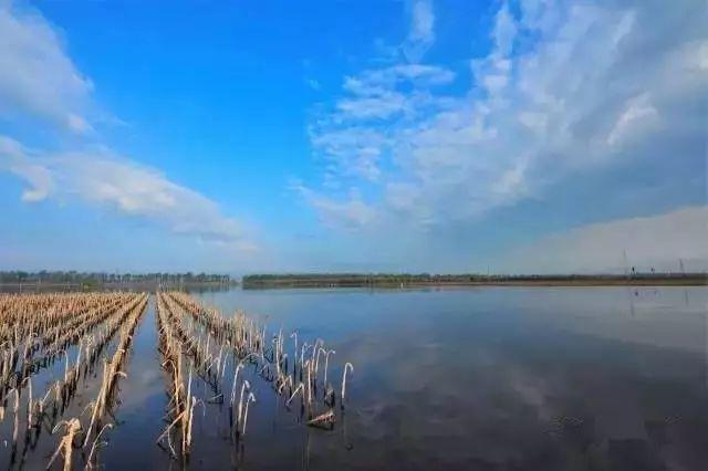 任县县城最新规划图纸，自然美景探索之旅的轻松启程