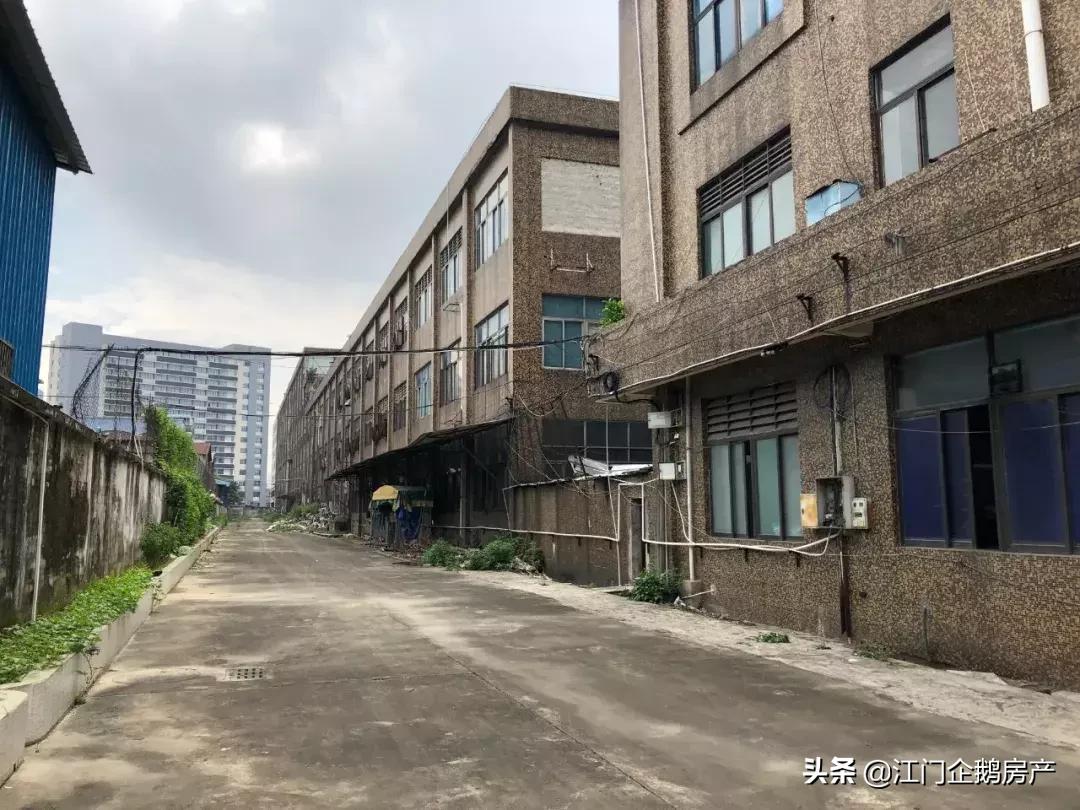 鹤山坚美园最新房价与温馨家园故事概述