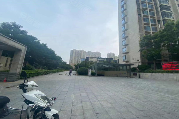 徐州鼓楼晶典最新房价走势揭秘
