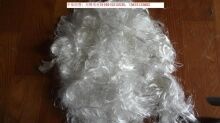 涤纶废丝最新价格行情分析与趋势预测
