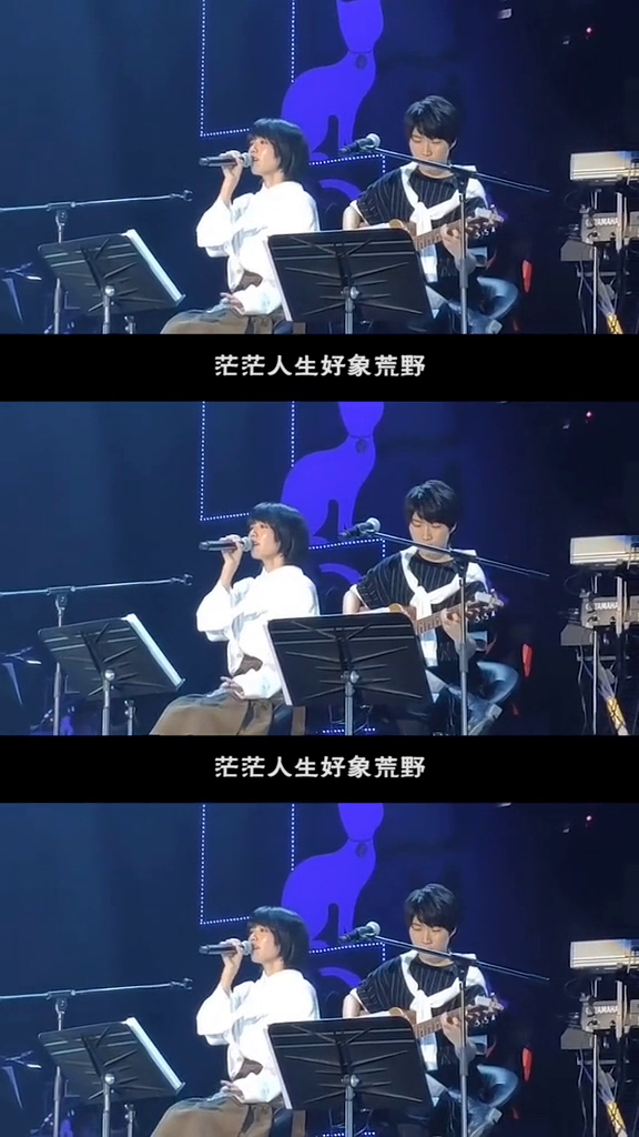 最新歌评，小巷深处的音乐瑰宝，深度解读热门歌曲评论