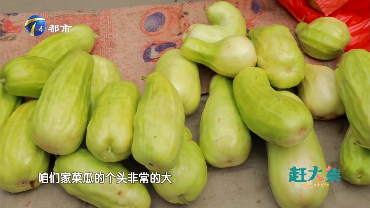 菜瓜最新剧集，时代之光下的影视精品