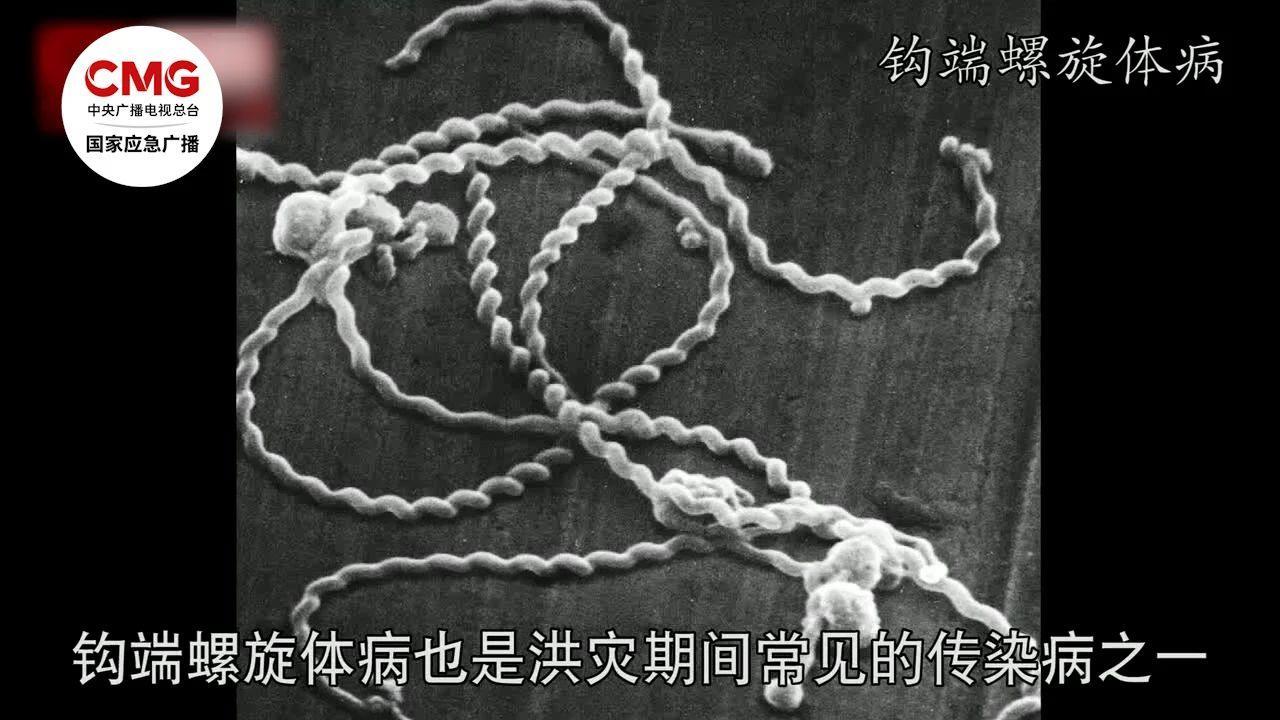 疫性最新动态与进展🌸