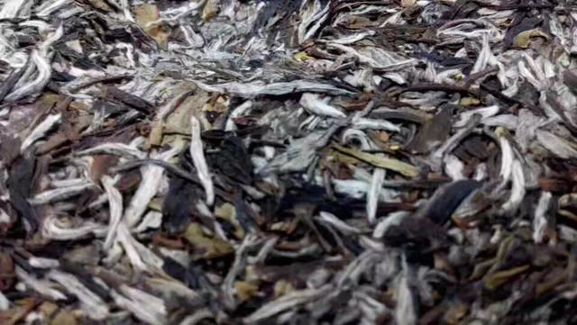小巷深处的普洱秘境，探寻最新茶香