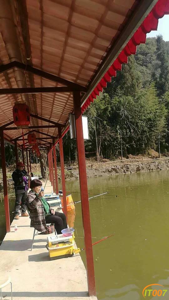 渔乐吧最新，垂钓乐趣的新天地探索