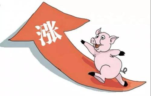 深度解析，最新肉价规定的影响与考量