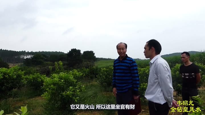 韦昭尤最新，小巷中的美食秘密