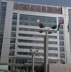 园林绿化 第13页