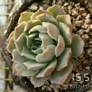 林景观工程 第10页