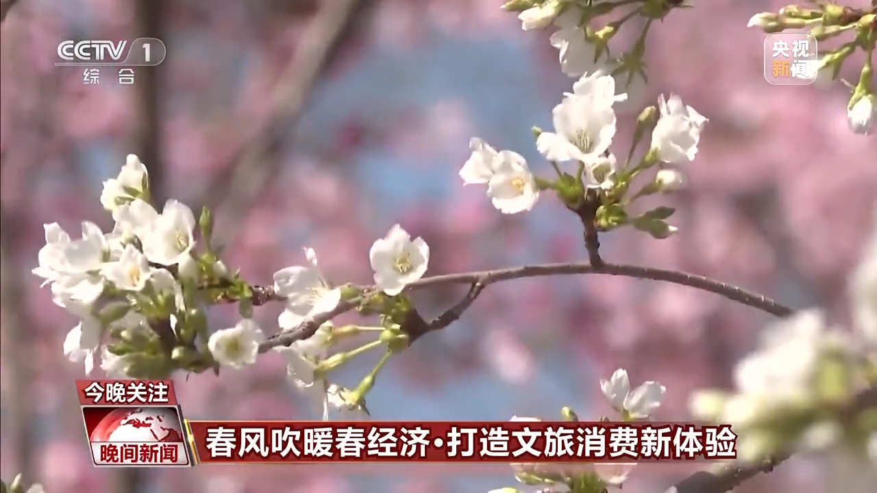 春暖花开sex8最新地址揭秘，背后的温馨故事探索